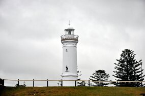 DSC_4710 null