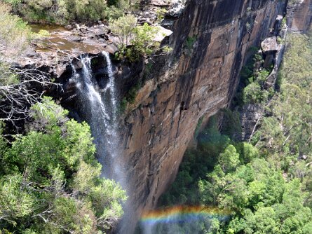 Fitzroy Falls A visit to Fitzroy Falls and Bellmore Falls - New South Wales, Australia (28 December 2012)