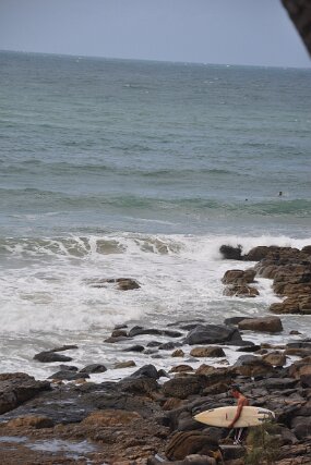 DSC_9505 null