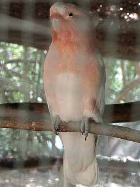 PICT1028 null