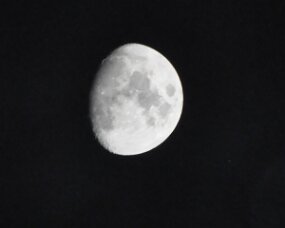 CSC_1224 null