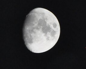 CSC_1225 null