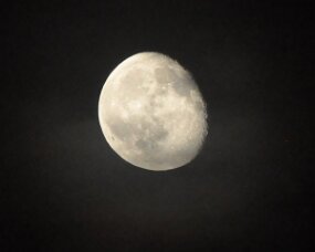 CSC_1237 null
