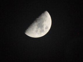 CSC_1238 null
