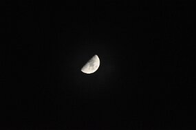 DSC_0911 null