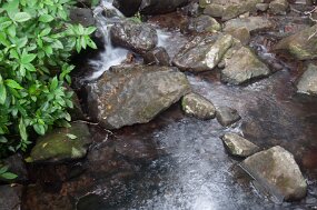 DSC_5540 null