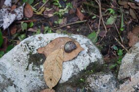 DSC_5550 null
