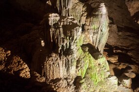 DSC_5601 null