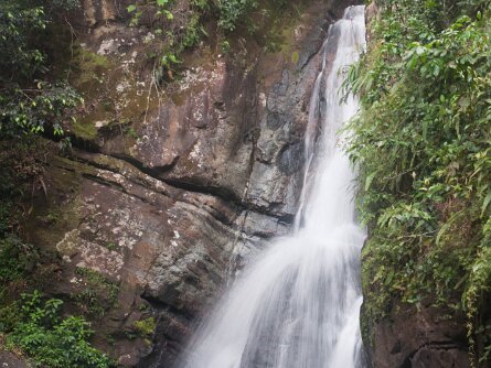 El Yunque (18 Mar 17) El Yunque National Forest (18 March 2017)
