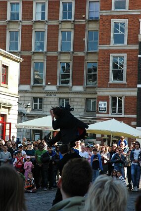 DSC_6684 null