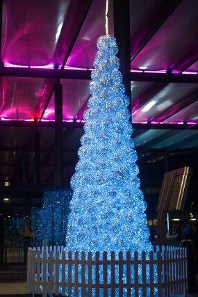 DSC_4067 null