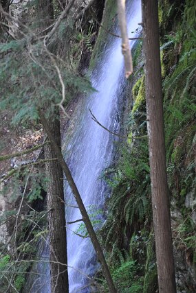 DSC_4300 null