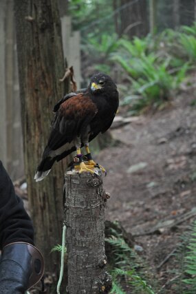 DSC_6672 null