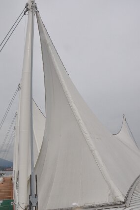DSC_6822 null