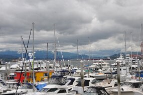 DSC_6560 null