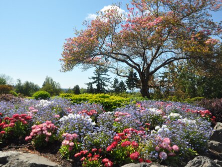 Queen Elizabeth Park Queen Elizabeth Park (28 May 2011)