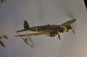 DSC_4535 null