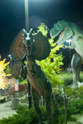 DSC_2367 null