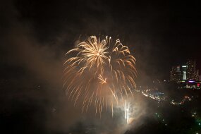 DSC_2385 null