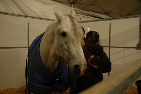 DSC_1044 null