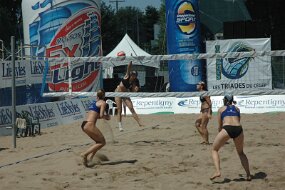 DSC_2822 null