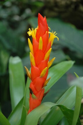 DSC_7389 null