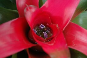 DSC_7394 null