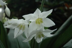 DSC_7396 null