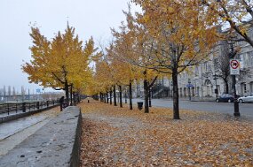DSC_2219 null