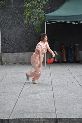DSC_8984 null