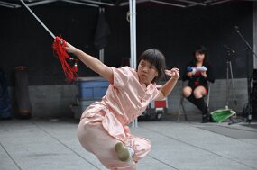 DSC_8988 null