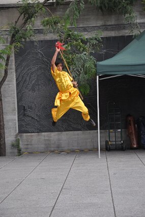 DSC_8989 null