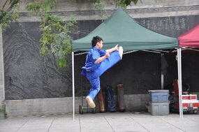 DSC_8992 null