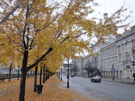 Le Vieux Port de Montréal (15 No 09) Le Vieux Port de Montréal (15 November 2009)