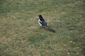 DSC_3557 null
