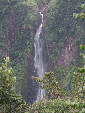 PICT1756 null