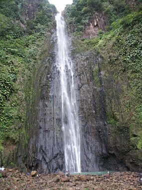 PICT1763 null