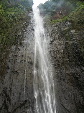 PICT1765 null