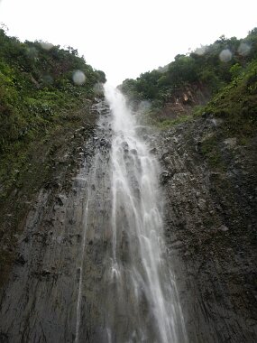 PICT1767 null