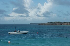 DSC_1390 null