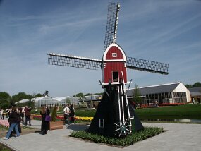 PICT2625 null