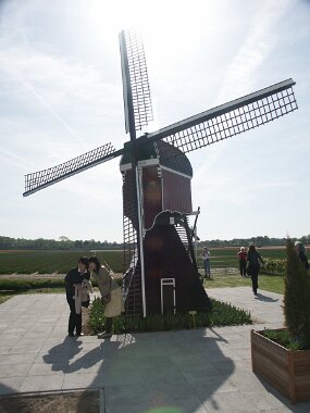 PICT2628 null