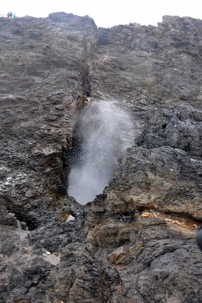 DSC_4712 null