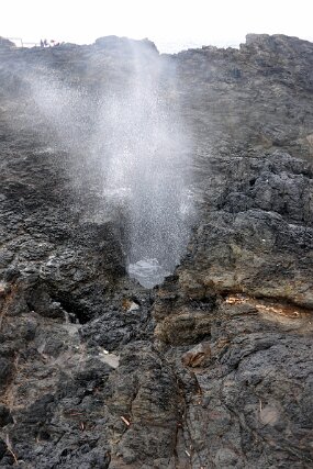 DSC_4717 null