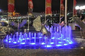DSC_0365 null