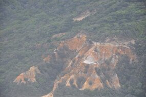 DSC_0124 null
