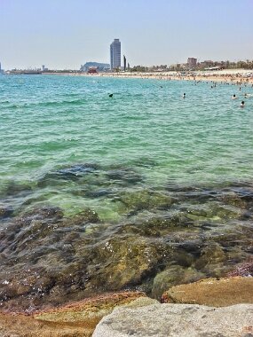 20150704_133034_HDR null
