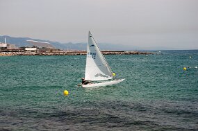 DSC_8081 null