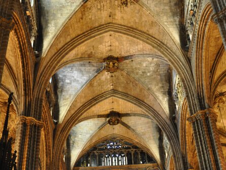 Catedral de Barcelona Catedral de Barcelona (28 & 30 December 2013)