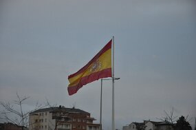 DSC_3264 null